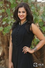 Nanditha at Krishnamma Kalipindi Iddarini Last Day Shooting Press Meet
